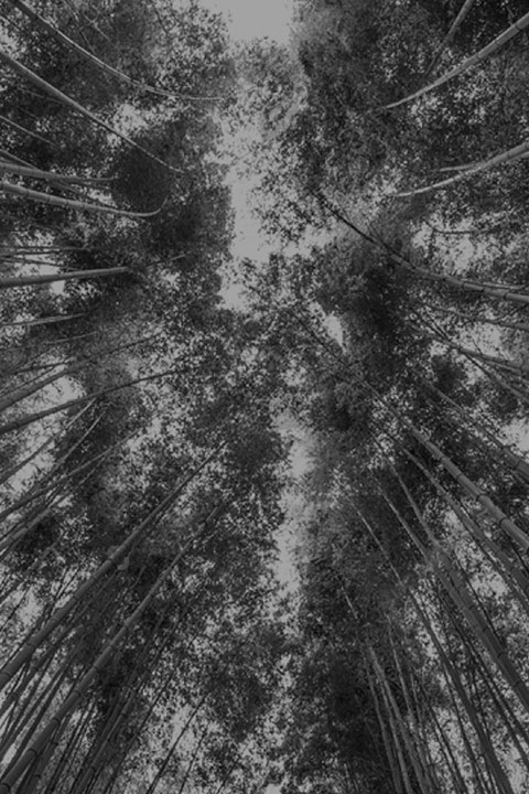 full_screen-image