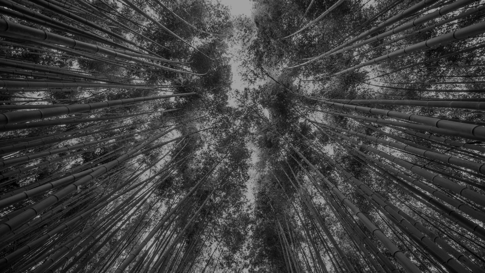 full_screen-image